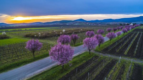 Дьондьоштарьян